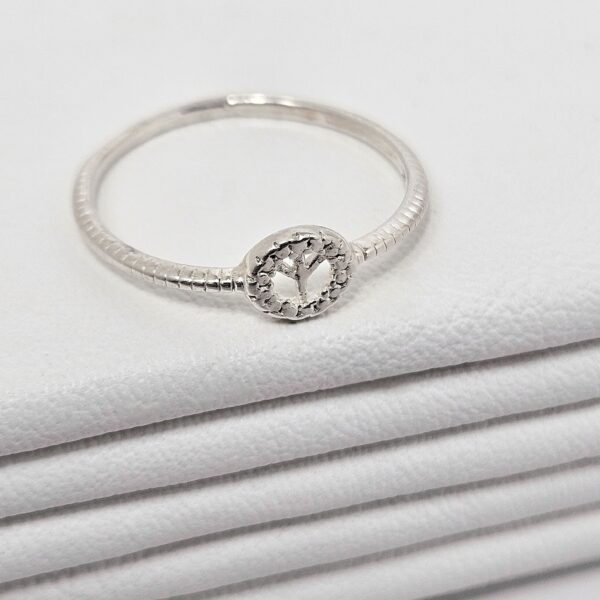 Anillo Paz - Image 3