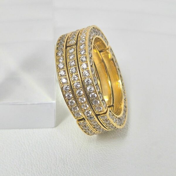 Anillo Movimiento