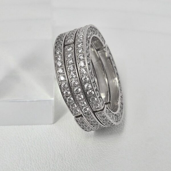 Anillo Movimiento